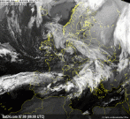 Obraz satelitarny Europa na żywo